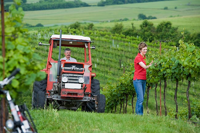 Maria und Viktor Girsch bei der Weingartenarbeit